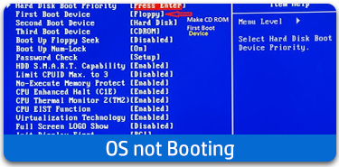 OS not booting