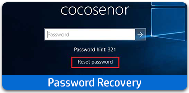Password recovery