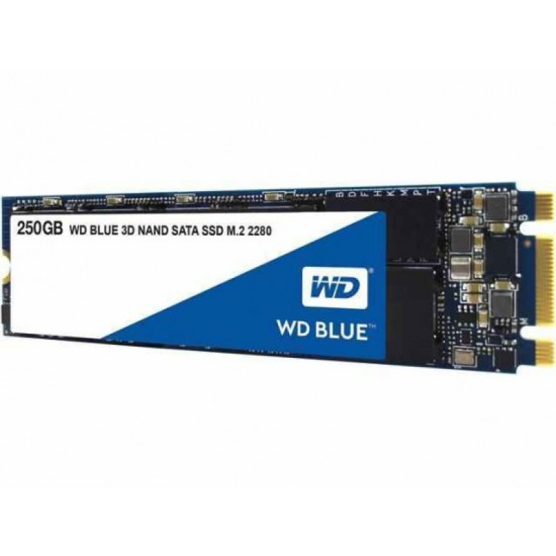 WD Blue 250 GB M.2 SSD WDS250G2B0B
